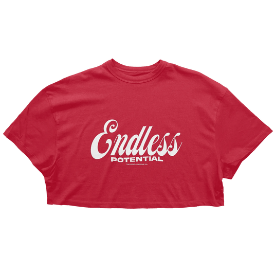 ENDLESS POTENTIAL -PUFF- WOMENS CROP TOP BRIGHTS